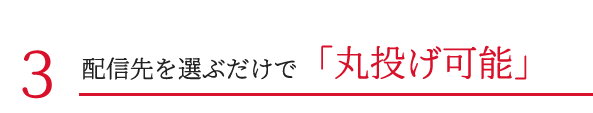配信先を選ぶだけで「丸投げ可能」